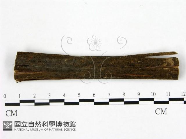 登錄號:F0015726藏品圖，第1張