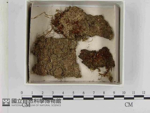 登錄號:F0021526藏品圖，第1張