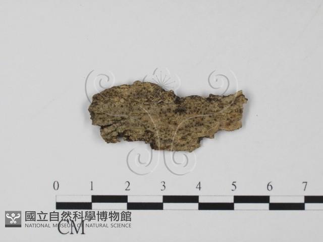 登錄號:F0011526藏品圖，第1張