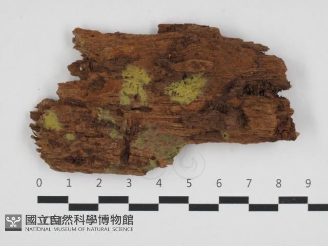 登錄號:F0032526藏品圖，第1張