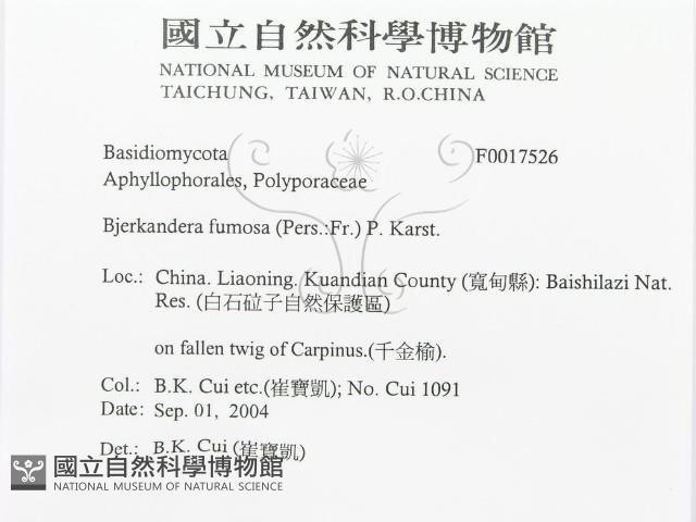 登錄號:F0017526藏品圖，第3張
