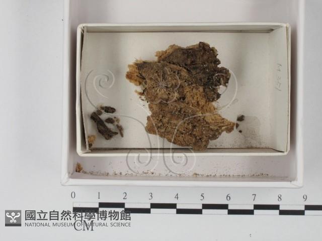 館號:F0021126藏品圖，第1張