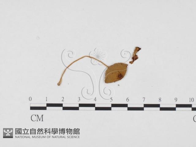 登錄號:F0024126藏品圖，第1張