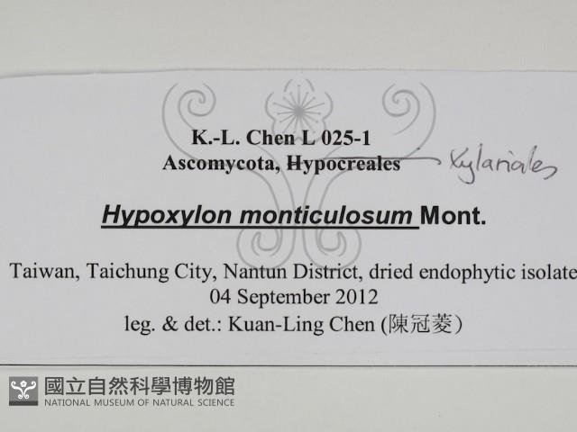 登錄號:F0031026藏品圖，第3張