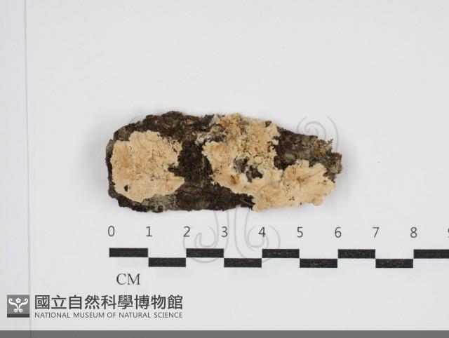 登錄號:F0034026藏品圖，第1張