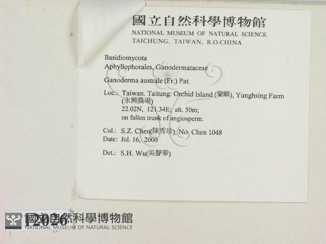 登錄號:F0012026藏品圖，第3張