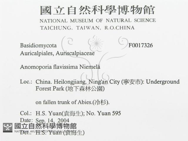 登錄號:F0017326藏品圖，第3張