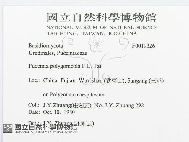 登錄號:F0019326藏品圖，第3張
