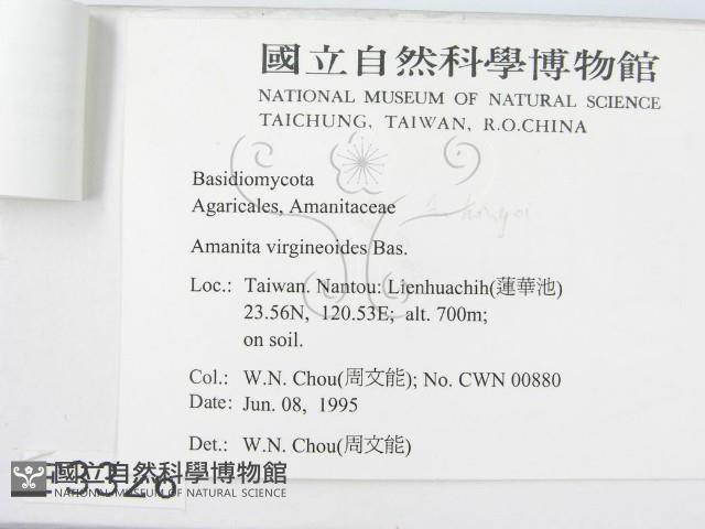 登錄號:F0003326藏品圖，第3張