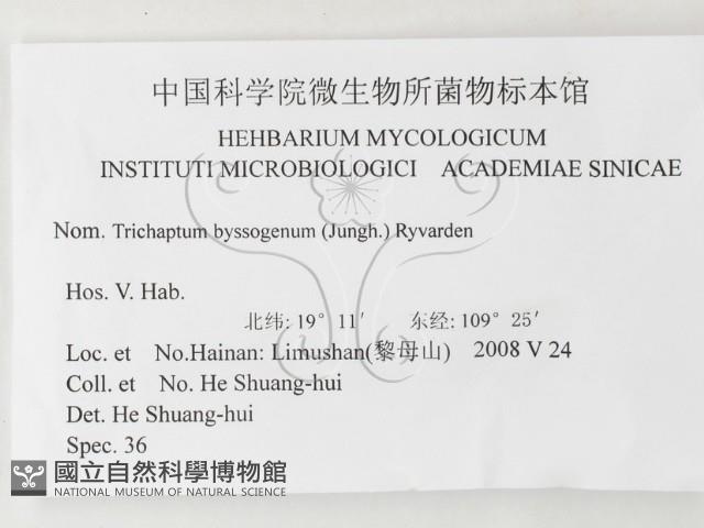 登錄號:F0026206藏品圖，第3張