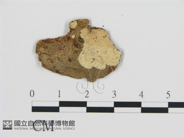 登錄號:F0002806藏品圖，第1張