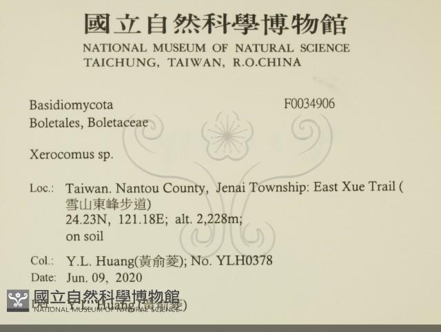 登錄號:F0034906藏品圖，第1張