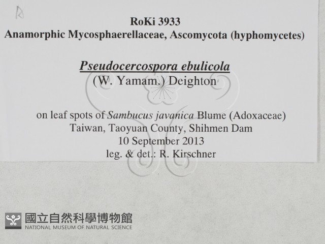 登錄號:F0027906藏品圖，第3張