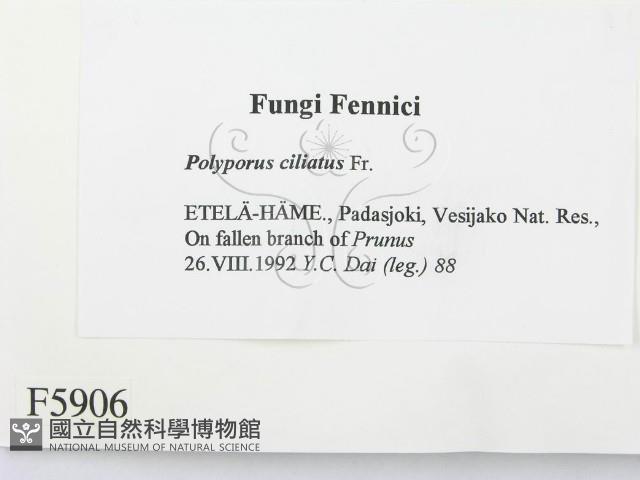 登錄號:F0005906藏品圖，第3張