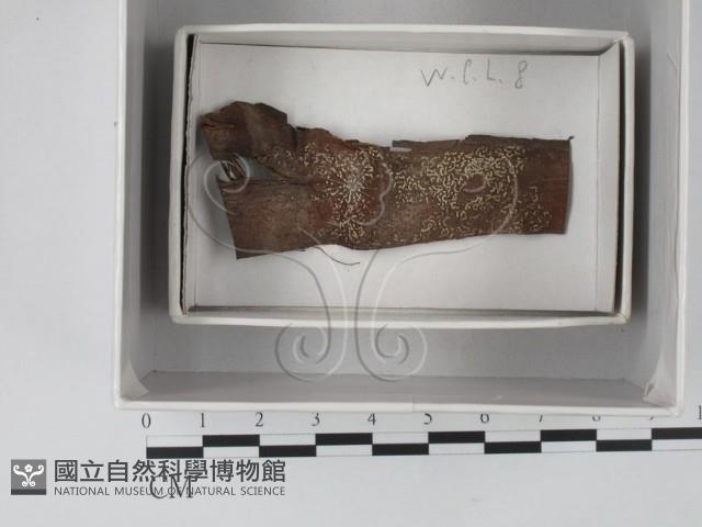 登錄號:F0018606藏品圖，第1張