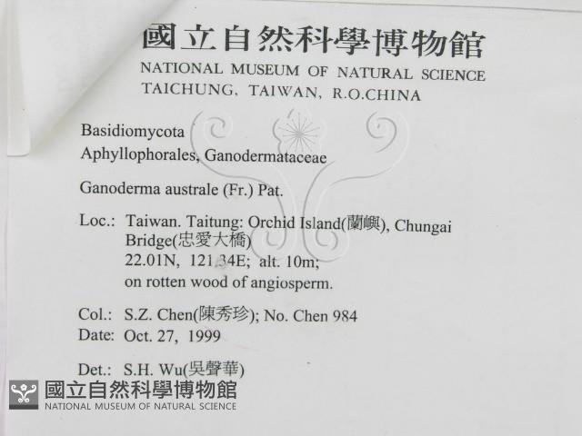 登錄號:F0010606藏品圖，第3張