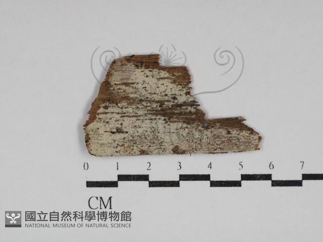 登錄號:F0030606藏品圖，第1張