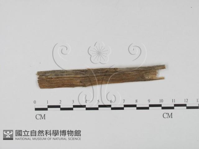 登錄號:F0011606藏品圖，第1張