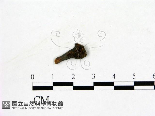 登錄號:F0019606藏品圖，第1張