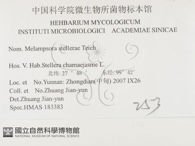 登錄號:F0026406藏品圖，第3張