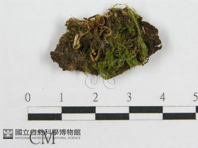 登錄號:F0014406藏品圖，第1張