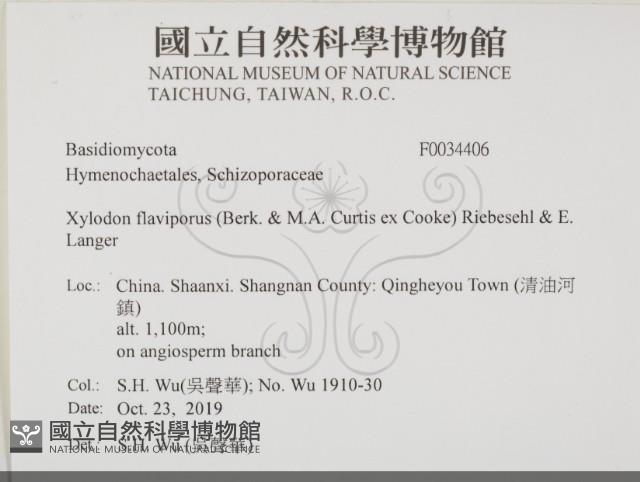 登錄號:F0034406藏品圖，第1張