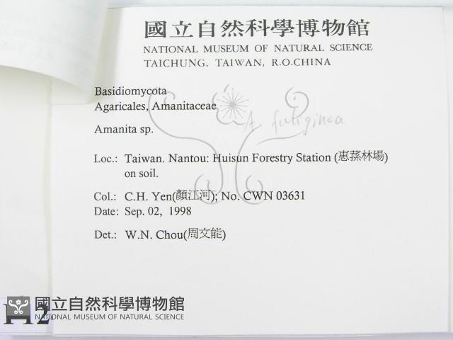 登錄號:F0012406藏品圖，第3張