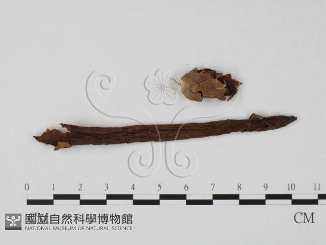 登錄號:F0023406藏品圖，第1張