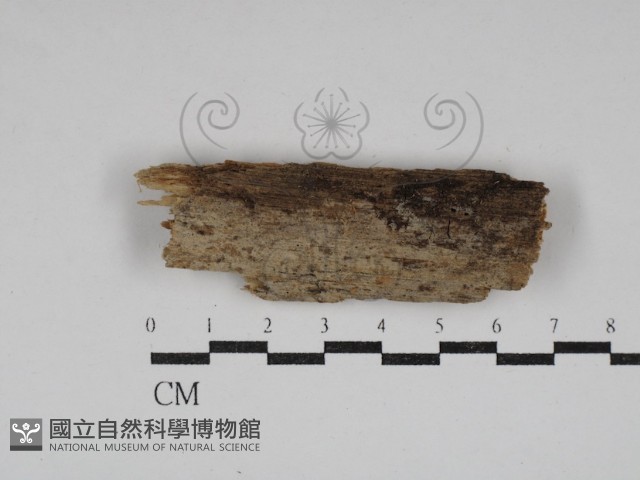 登錄號:F0030706藏品圖，第1張