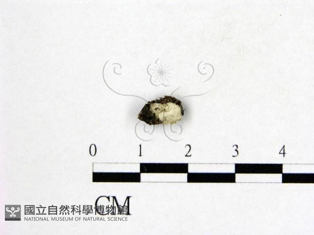 登錄號:F0005706藏品圖，第1張