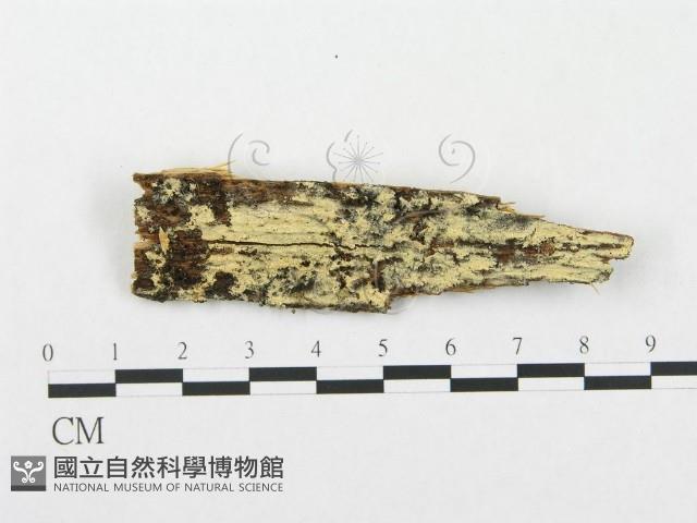 登錄號:F0015706藏品圖，第1張