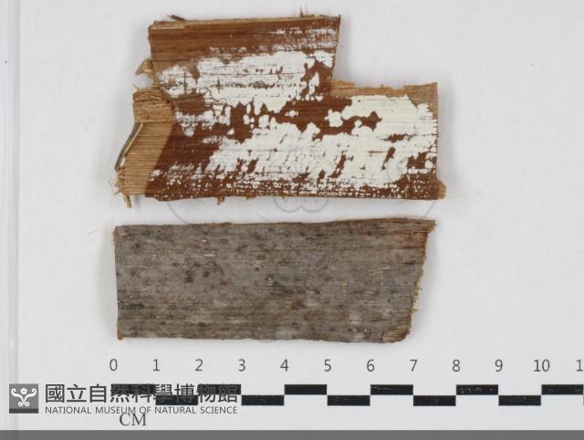 登錄號:F0033706藏品圖，第1張