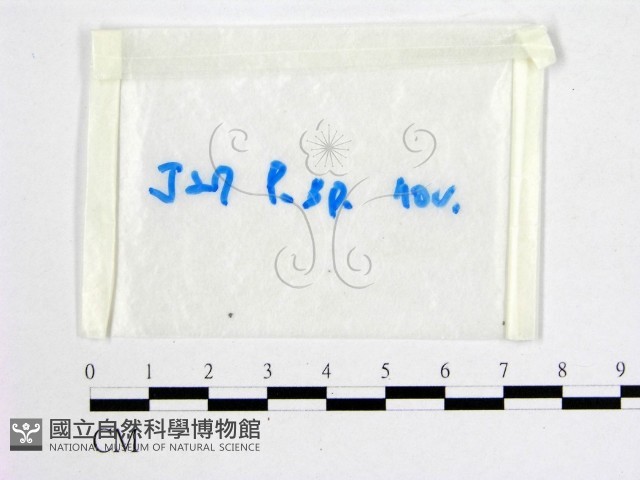 登錄號:F0016506藏品圖，第1張