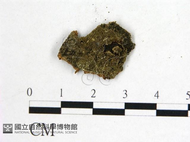 登錄號:F0011506藏品圖，第1張