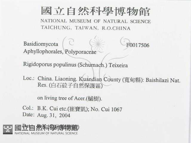 登錄號:F0017506藏品圖，第3張