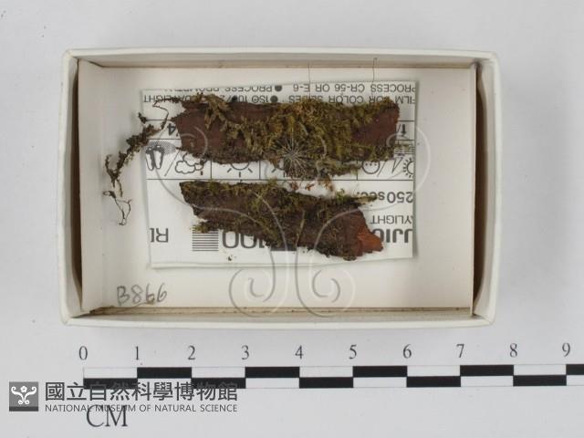 登錄號:F0021106藏品圖，第1張