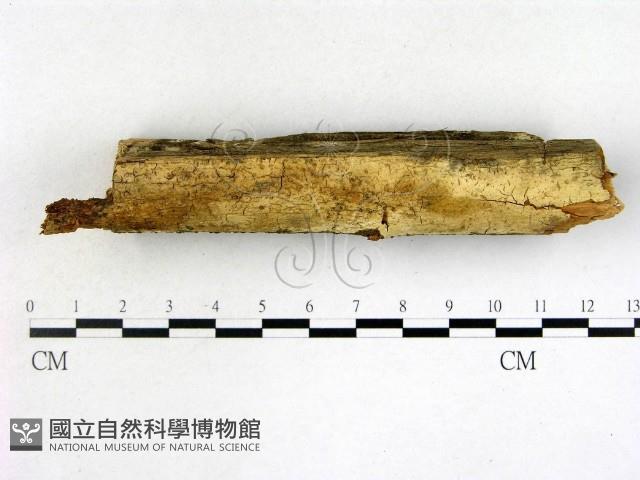 登錄號:F0022106藏品圖，第1張