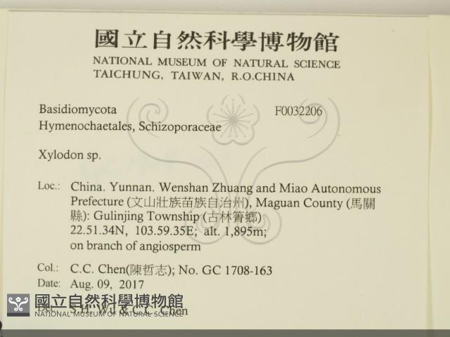 登錄號:F0032006藏品圖，第3張