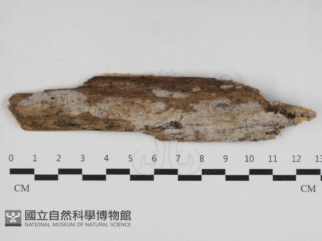 登錄號:F0033006藏品圖，第1張