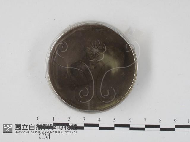 登錄號:F0011306藏品圖，第1張