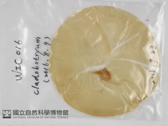 登錄號:F0031306藏品圖，第1張