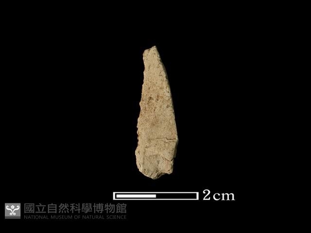 矛鏃形器藏品圖，第2張