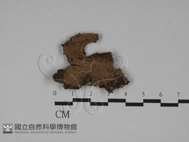 登錄號:F0029216藏品圖，第1張