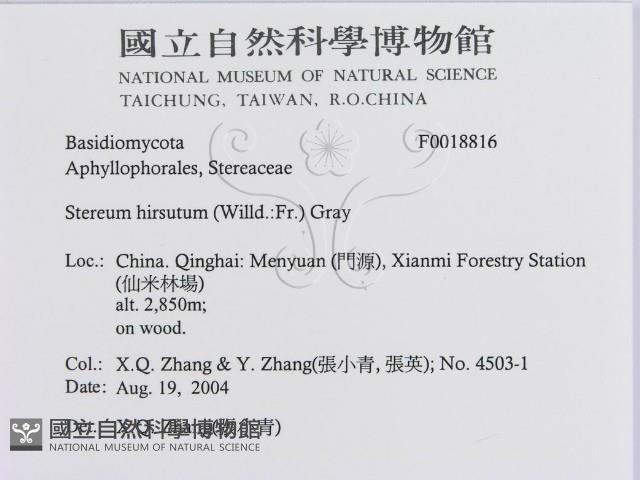 登錄號:F0018816藏品圖，第3張