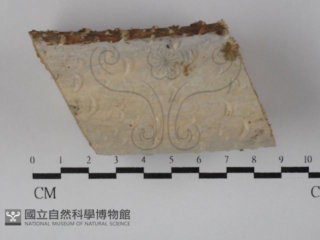 登錄號:F0029816藏品圖，第1張