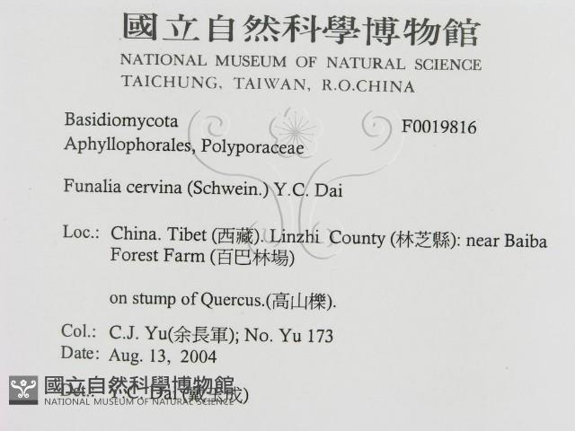 登錄號:F0019816藏品圖，第3張