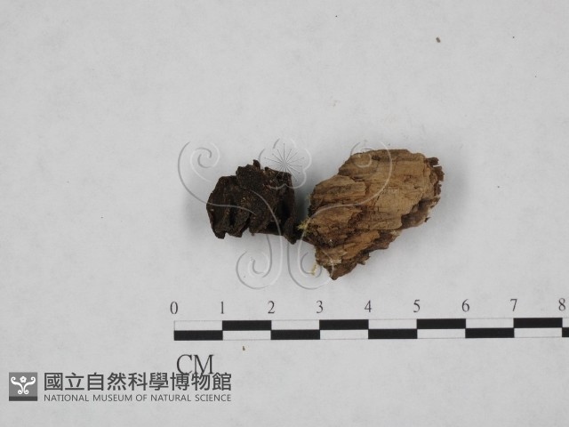 登錄號:F0013816藏品圖，第1張