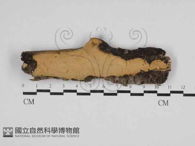 登錄號:F0030916藏品圖，第1張