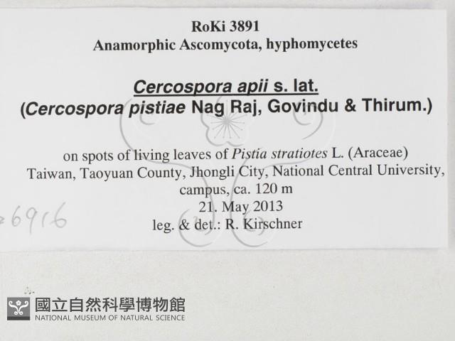 登錄號:F0026916藏品圖，第3張