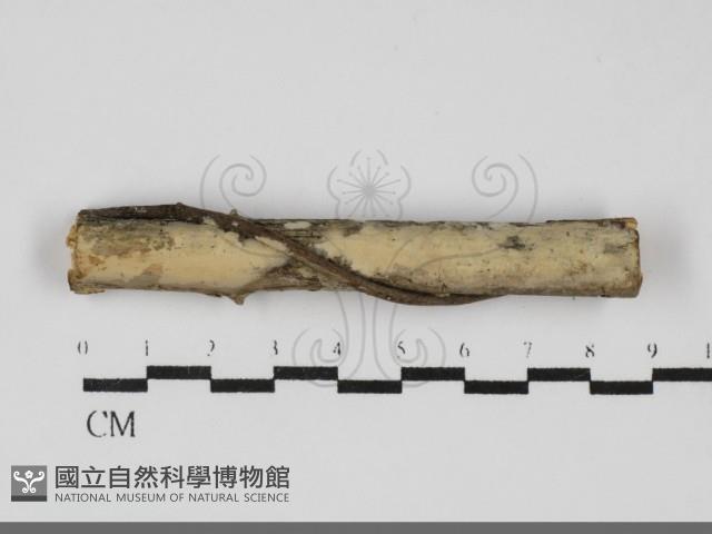 登錄號:F0031916藏品圖，第1張